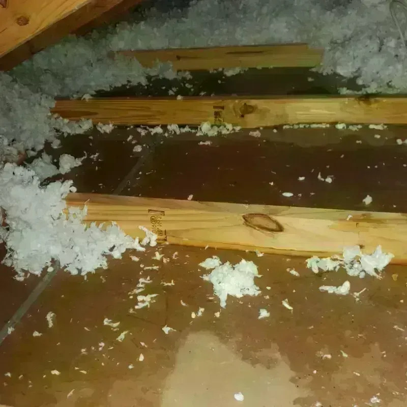 Attic Water Damage in Limerick, ME